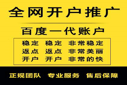 某企业通过百度SEM实现ROI最大化的案例